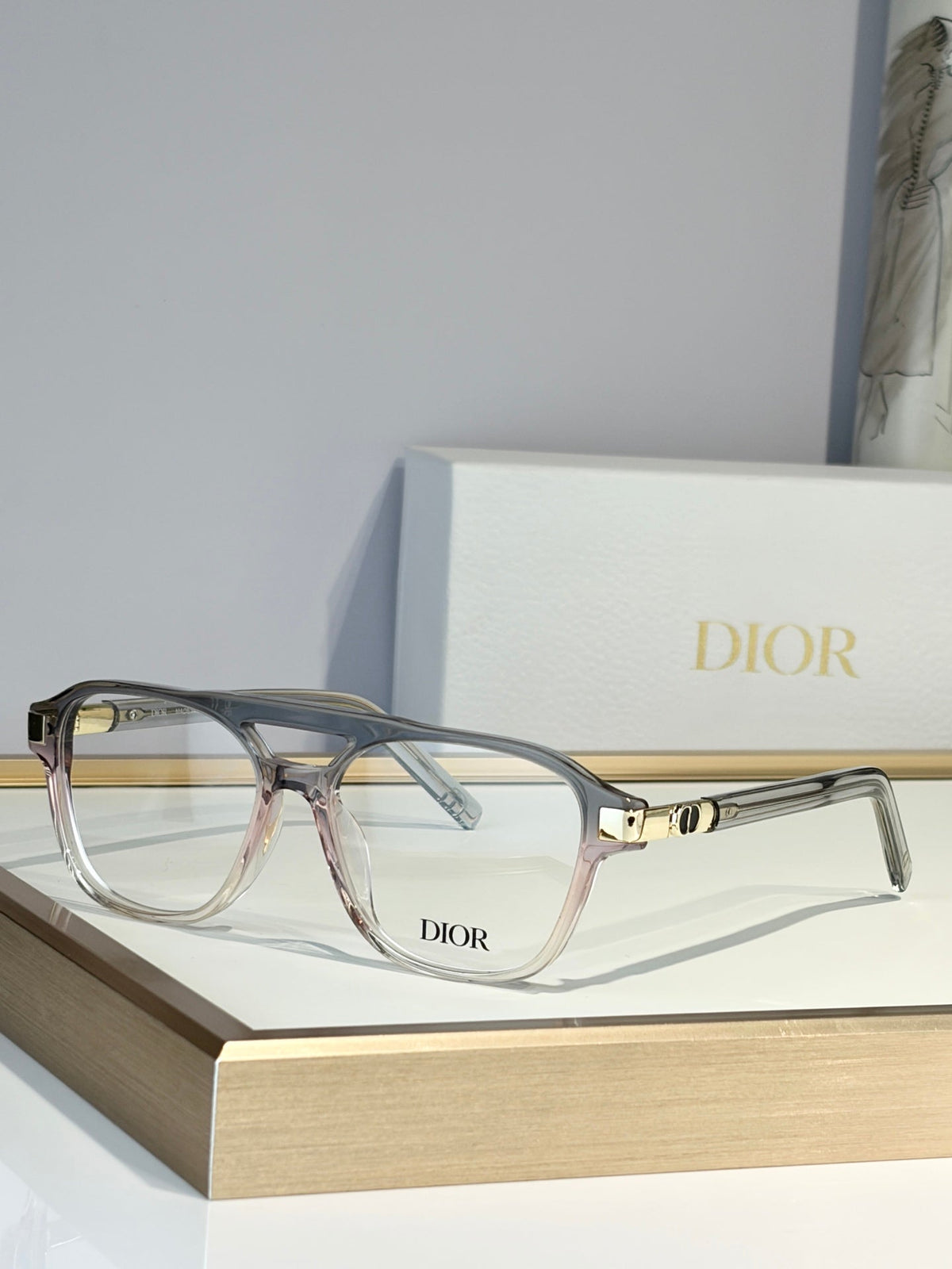 Dior CDN1L Sunglasses