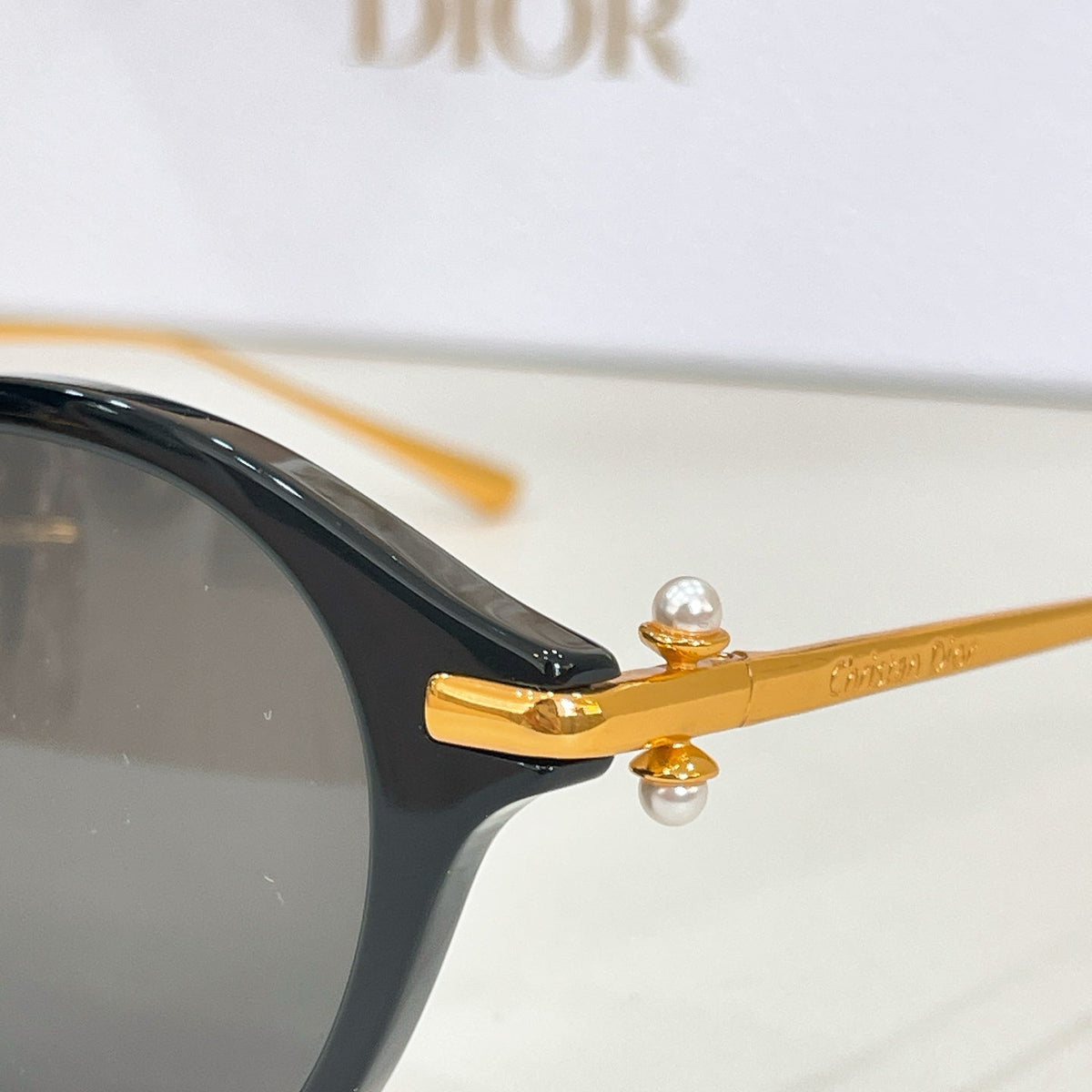 Dior Teibales S2U Sunglasses